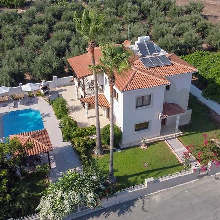 Villa Paradise 파포스 외부 사진