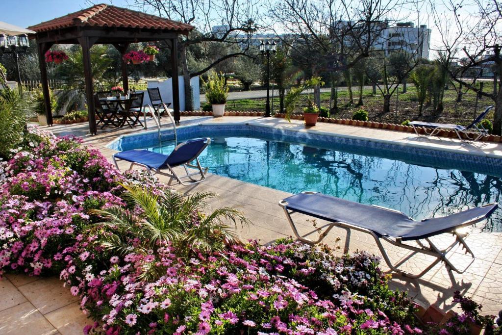 Villa Paradise 파포스 객실 사진